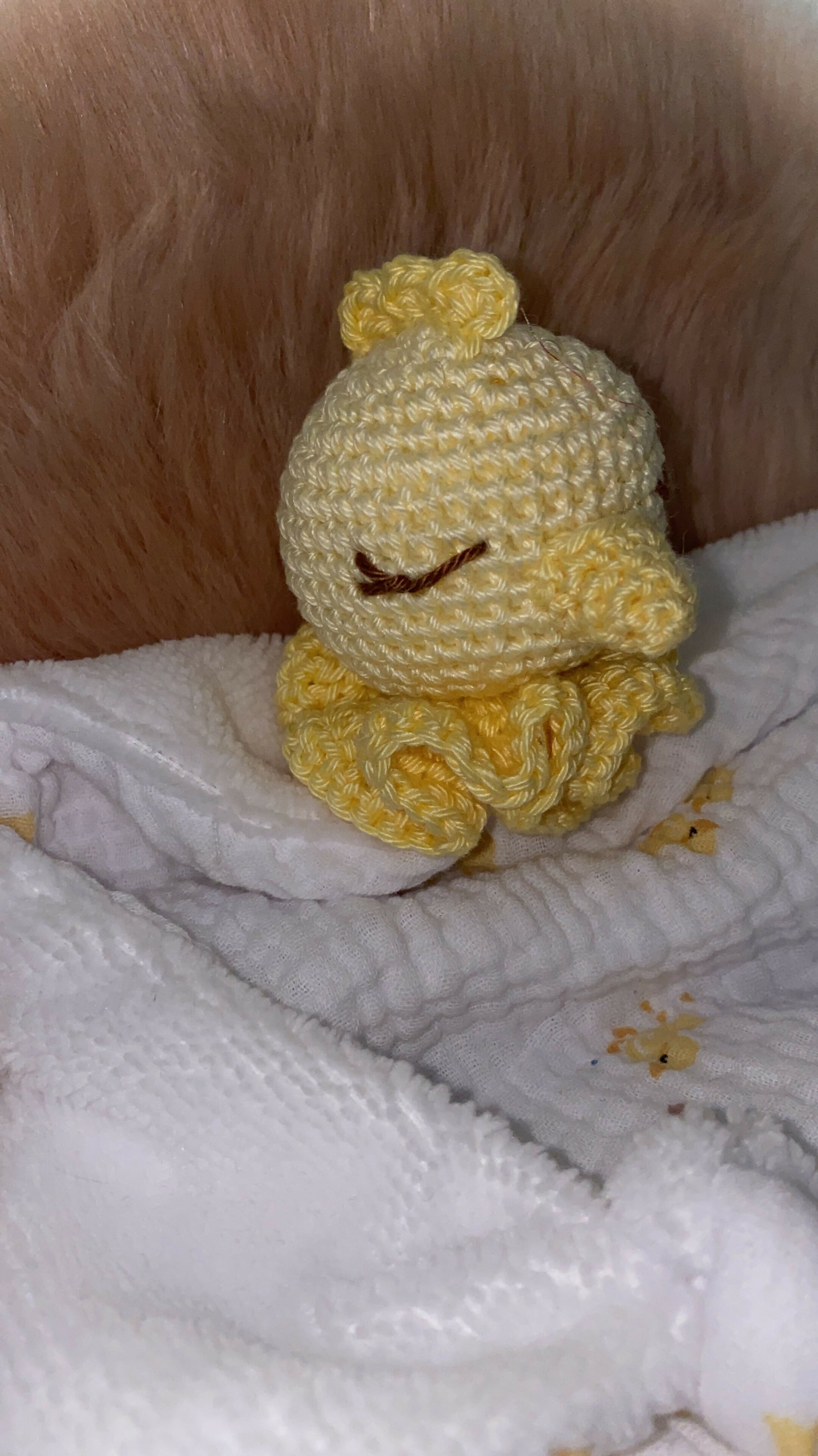 DOUDOU POUSSIN1