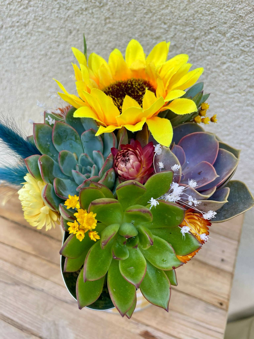 546be230-6531-4e6e-a44d-feadb4b719ba