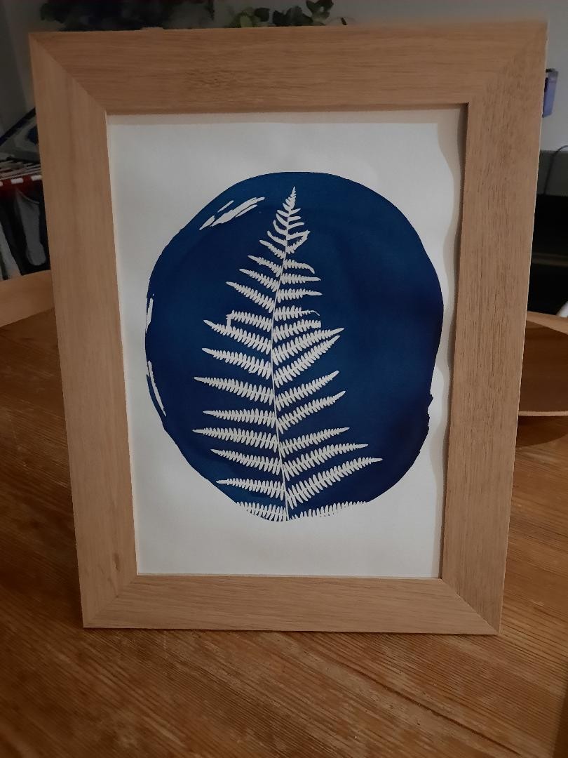 Atelier cyanotype