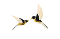 Product Image-1
