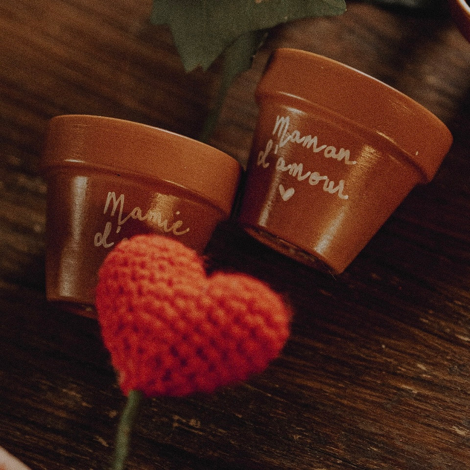 Mini pot en terre cuite crochet cœur crochet plante crochet rose pot de fleur
Idée cadeau original douce poétique pot de fleur personnalisé à personnaliser
