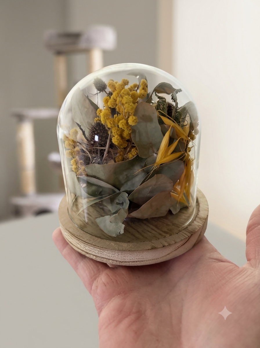 cloche mimosa