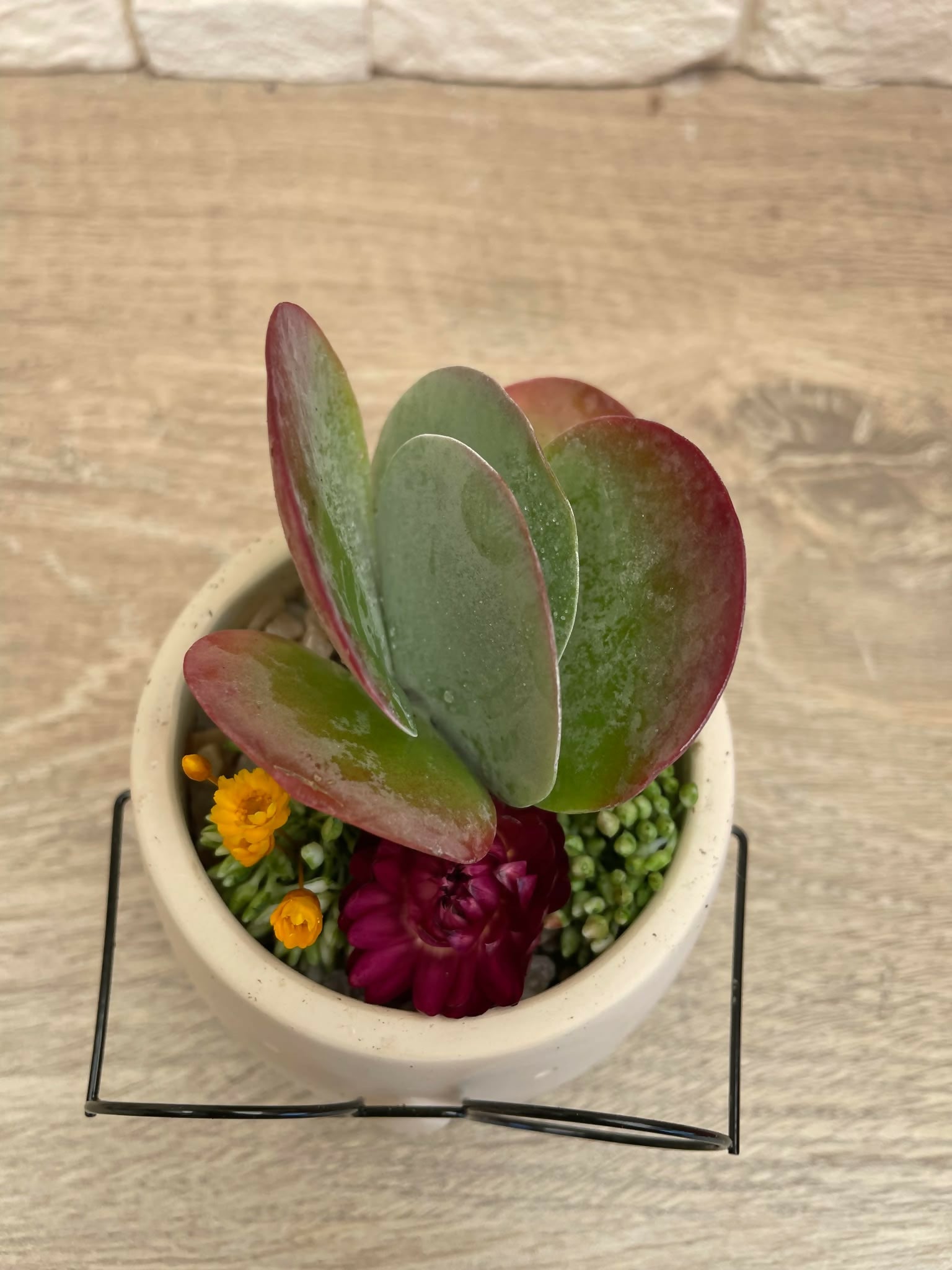 487060546_1080293443905466_4575426140491604396_n