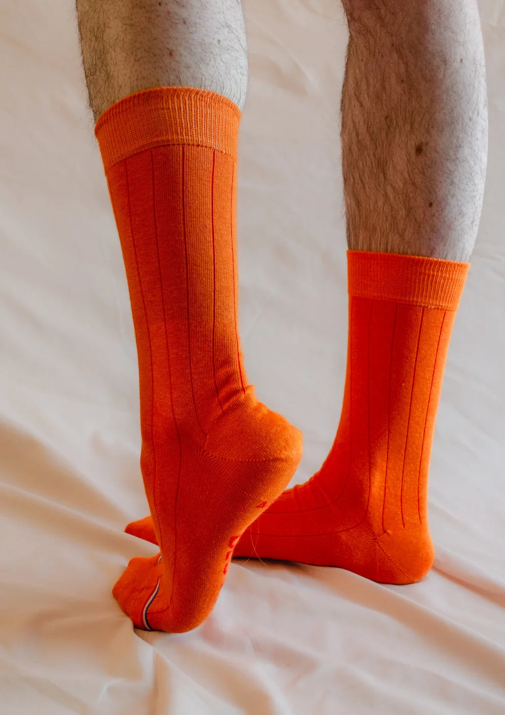 Product Image-2