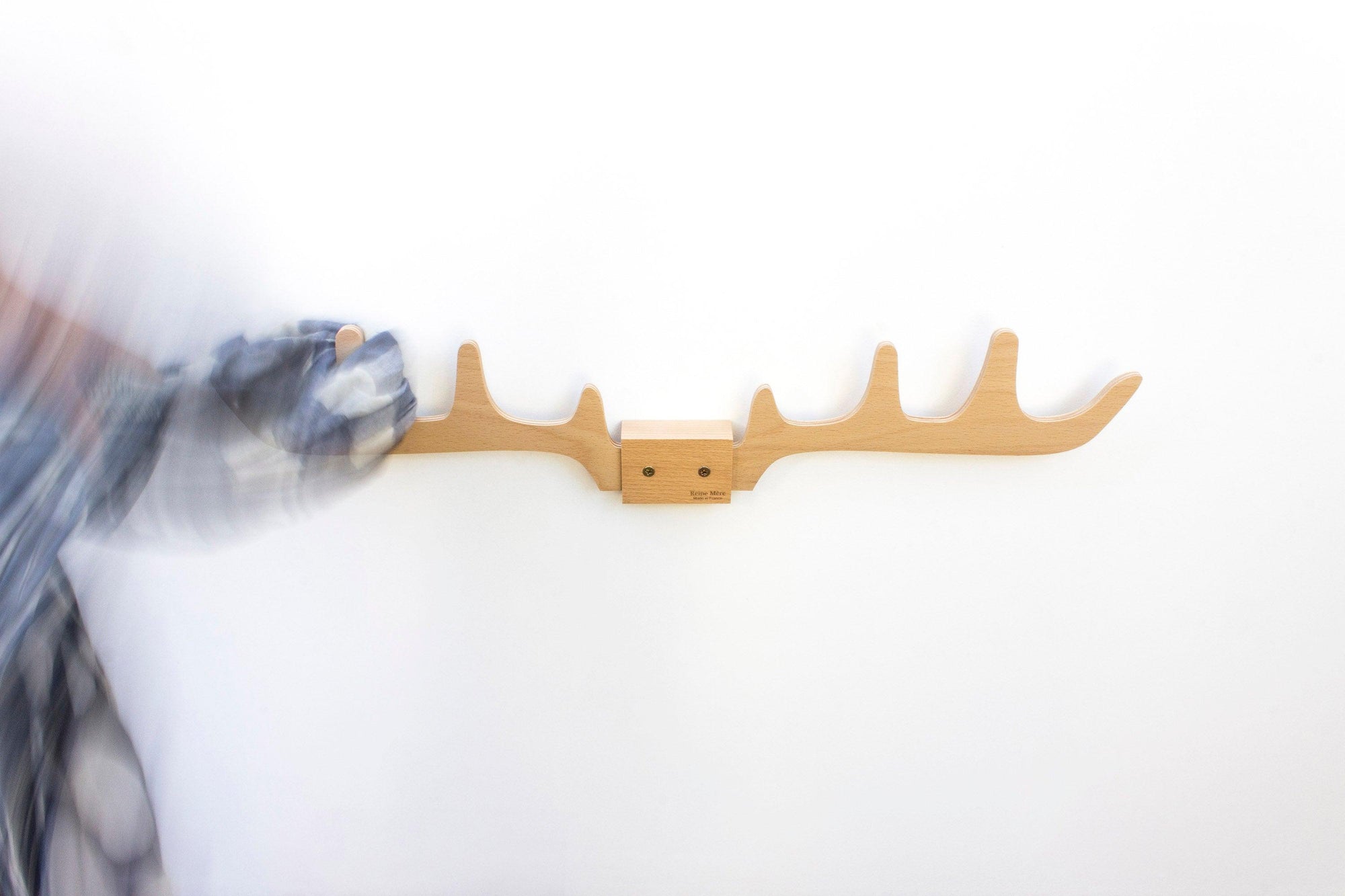 Merlin Hêtre - Reine Mère