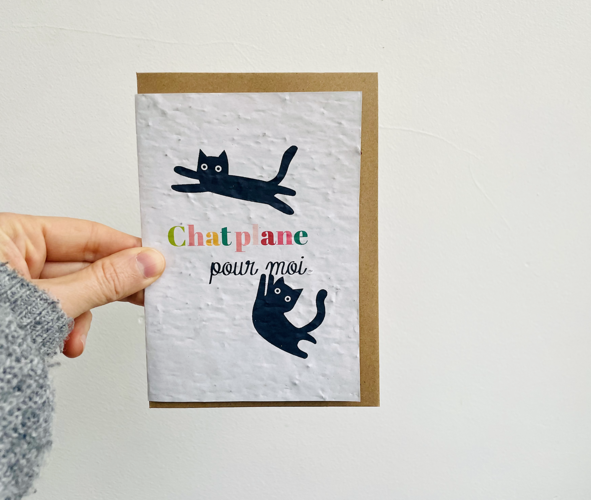 Carte à planter chatplane