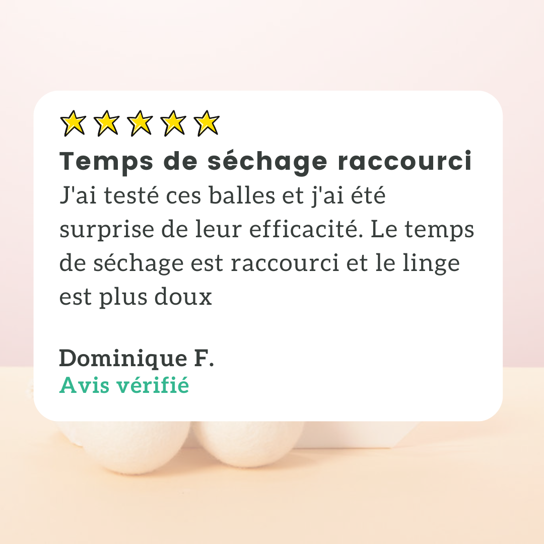 Balles de Séchage (x3)