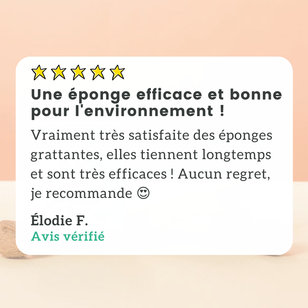 Éponge Grattante Végétale X2