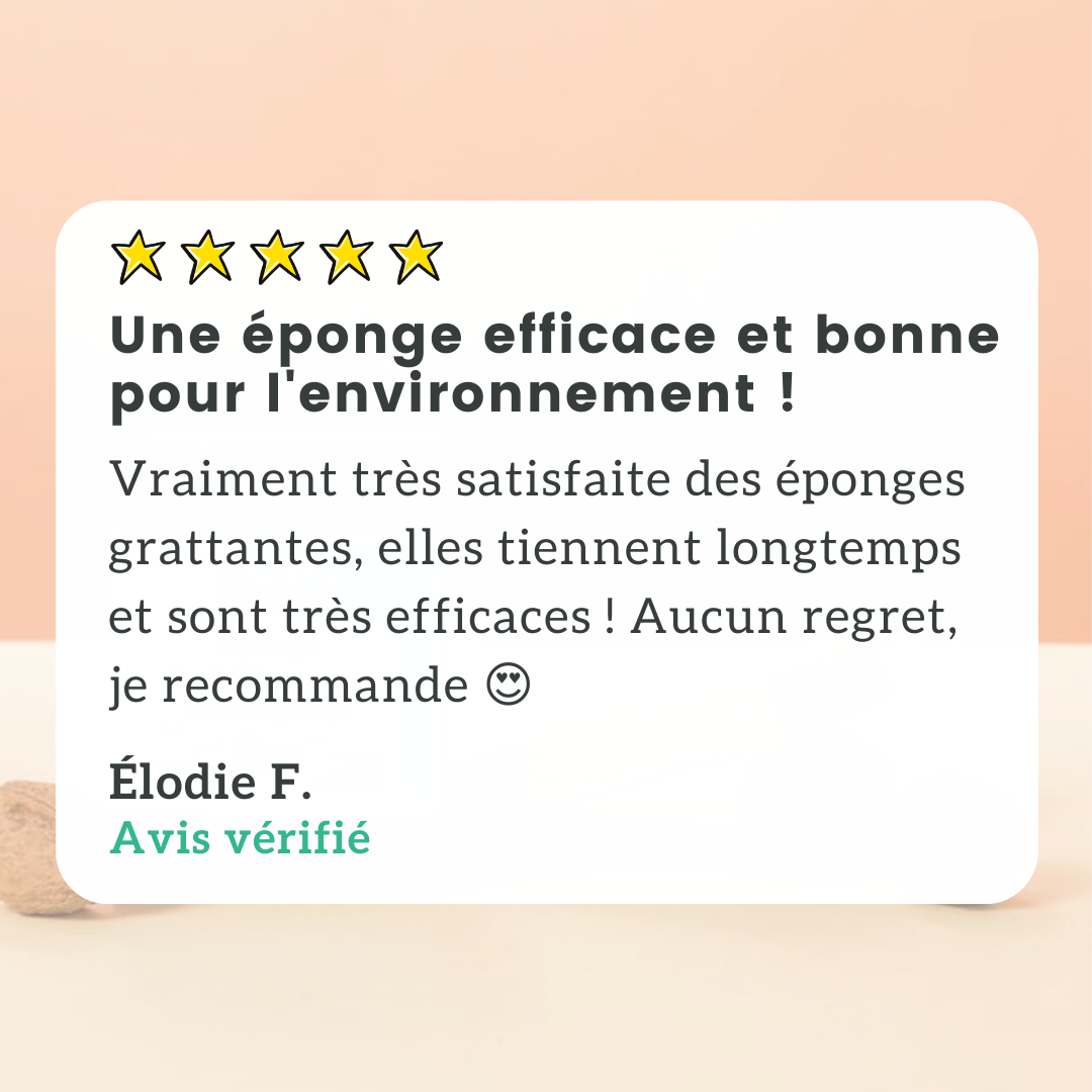 Éponge Grattante Végétale X2