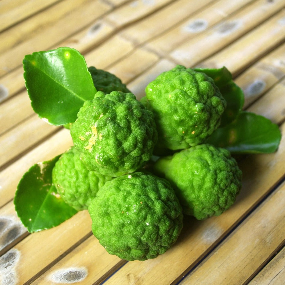 Product Image-9