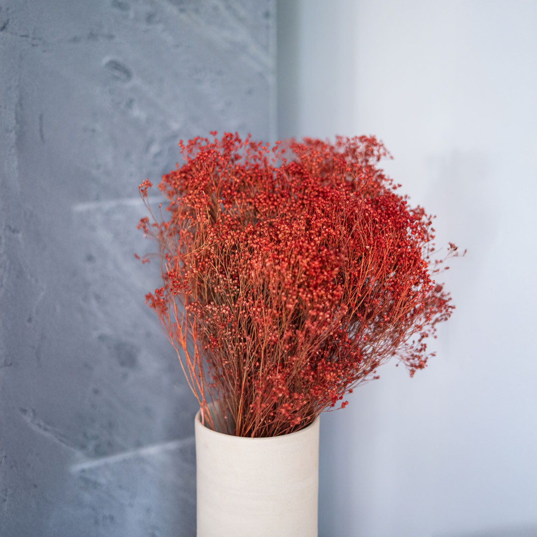 Broom Bloom Boot Rust