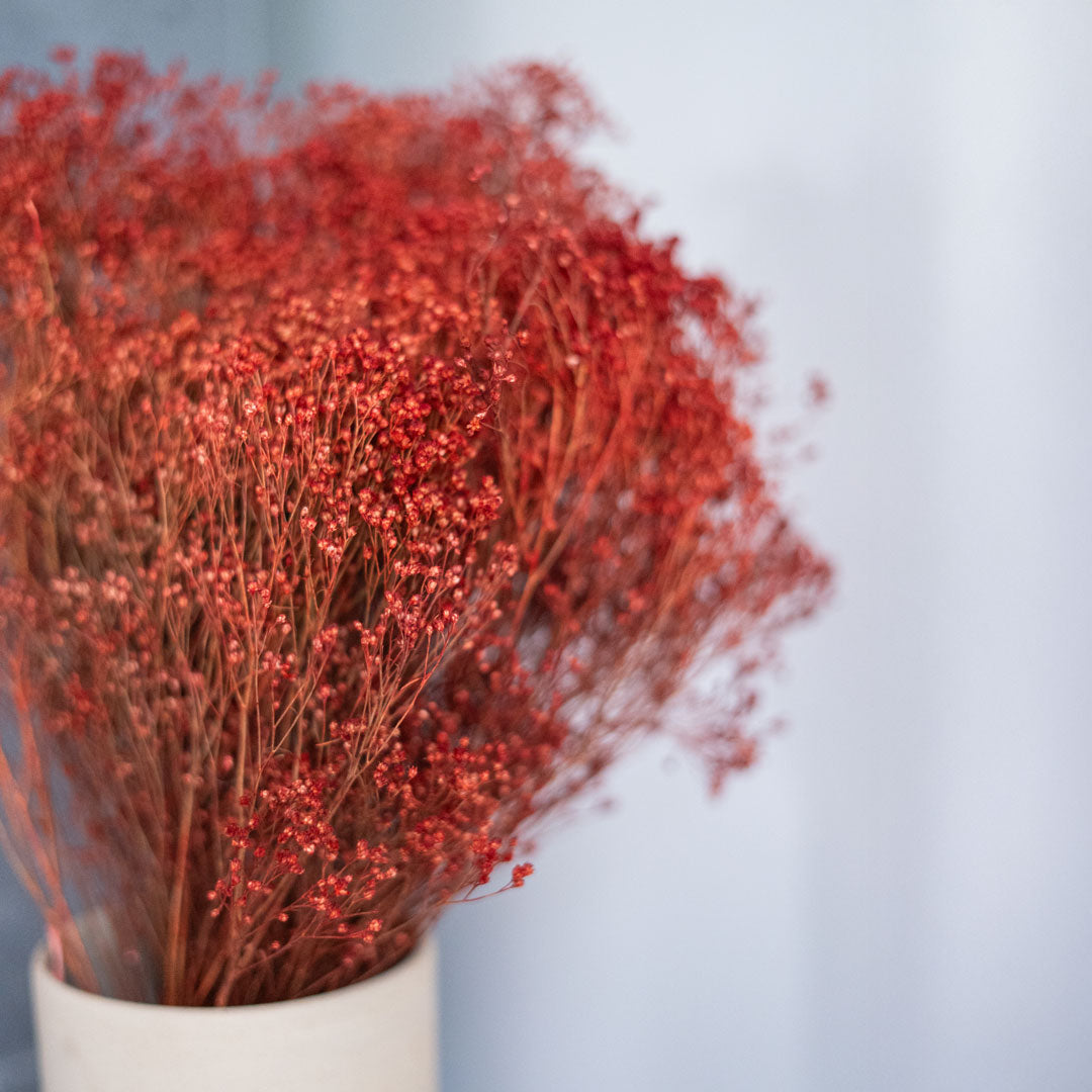Broom Bloom Boot Rust