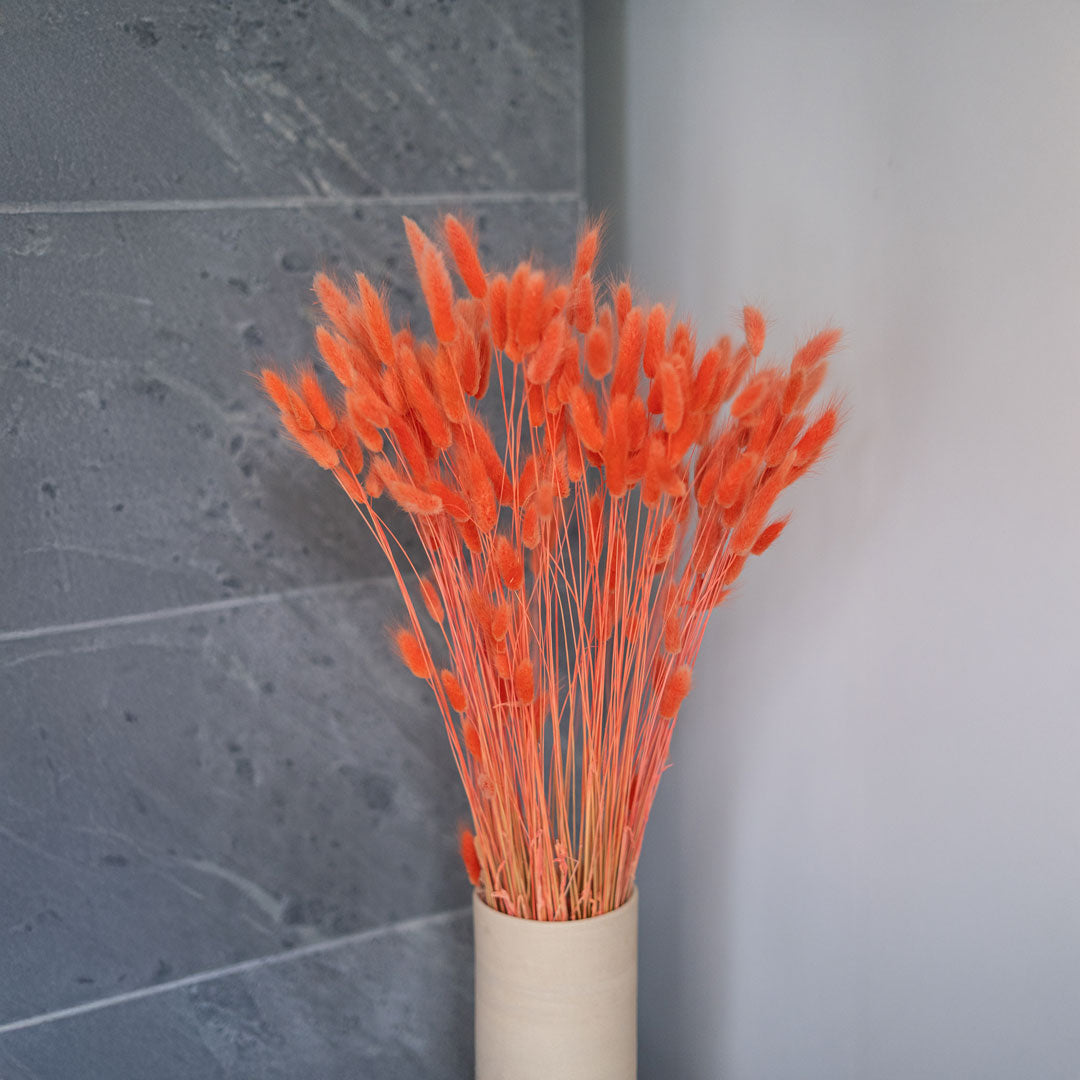 Orange Lagurus Bunch
