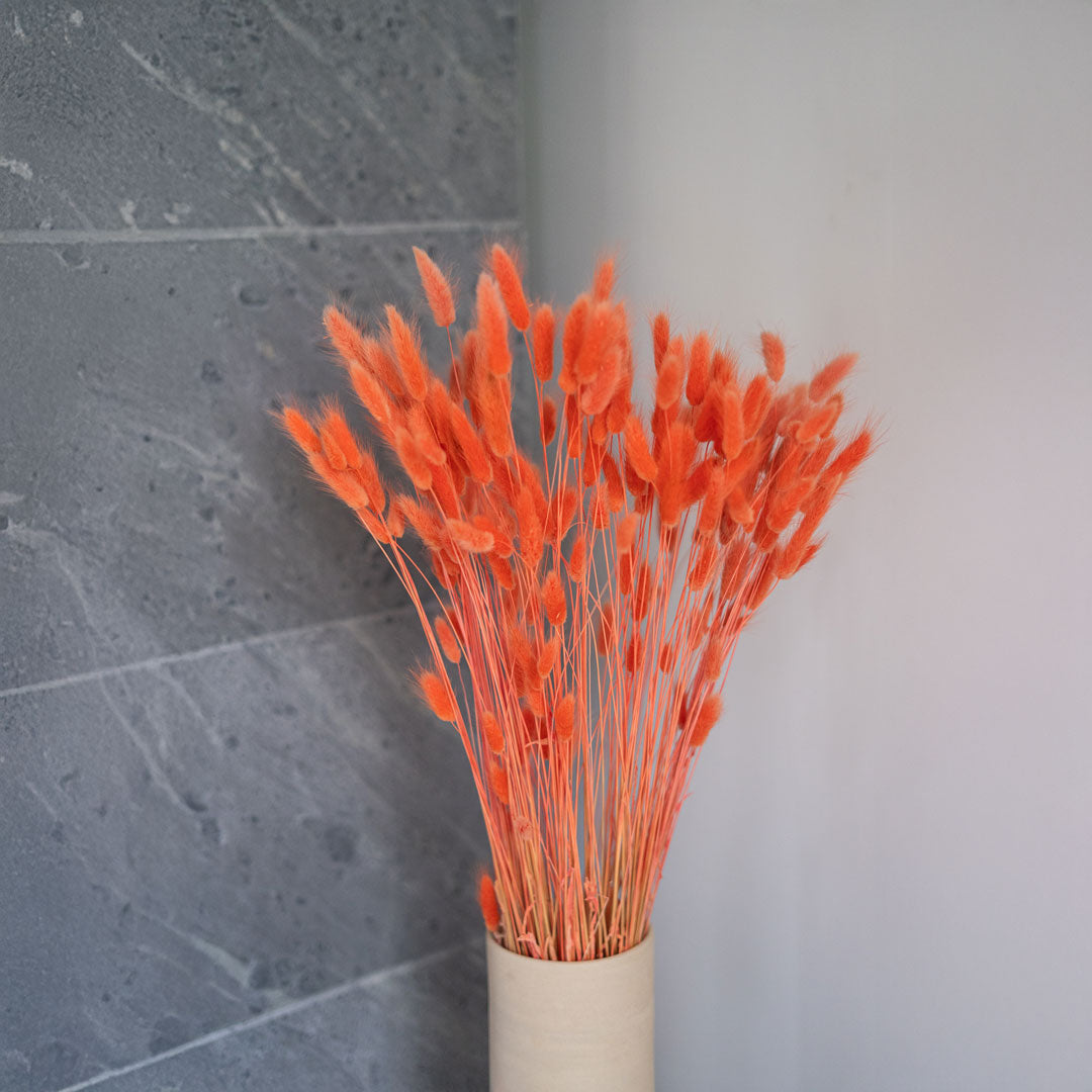 Orange Lagurus Bunch