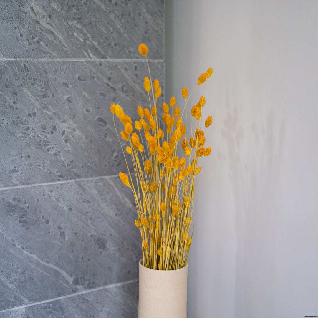 Yellow Phalaris Boot