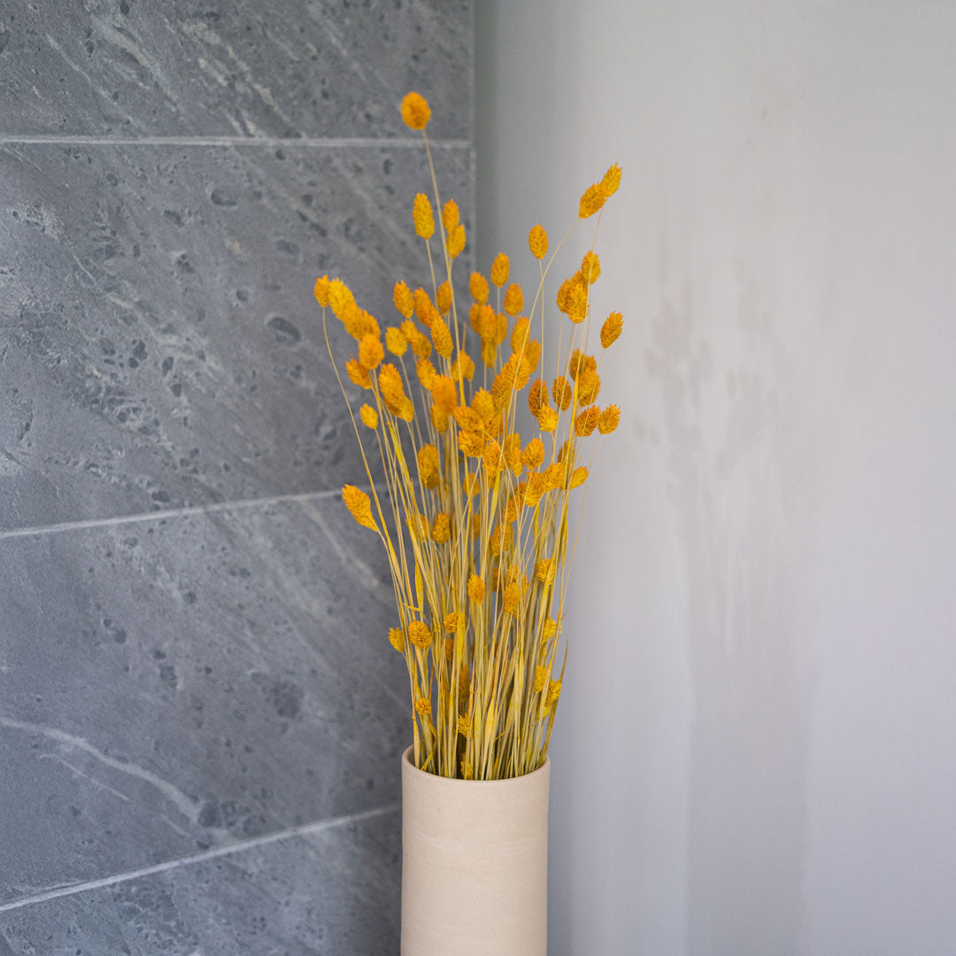 Yellow Phalaris Boot