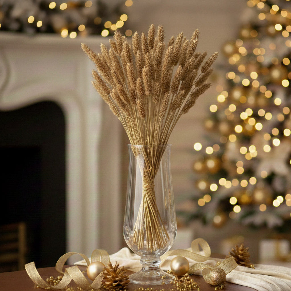 Botte Phalaris Doré