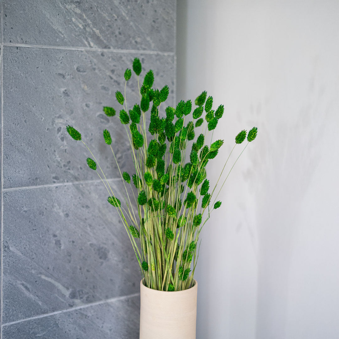 Phalaris Green Boot