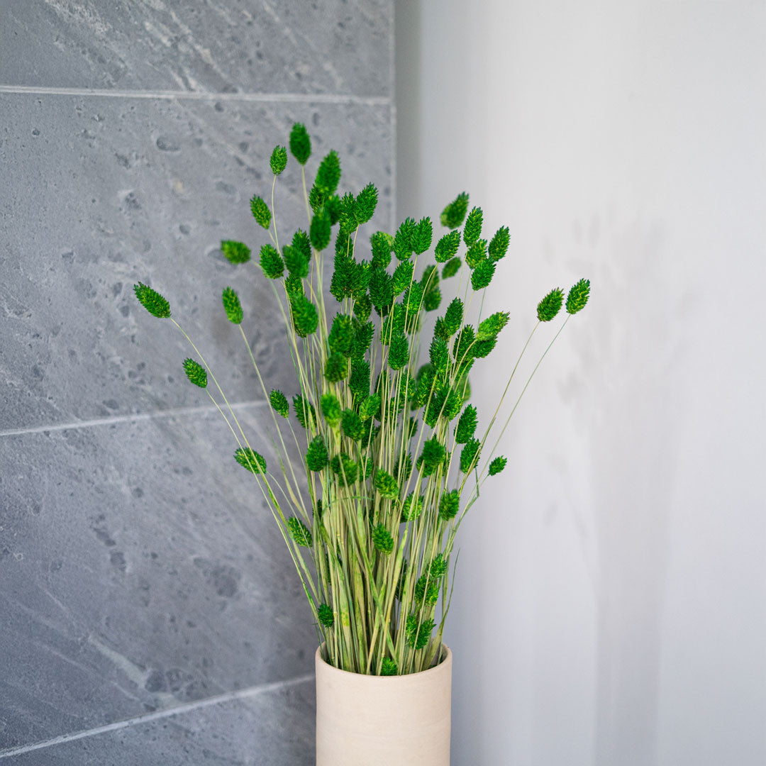 Phalaris Green Boot