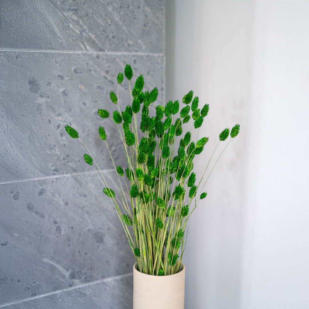 Phalaris Green Boot