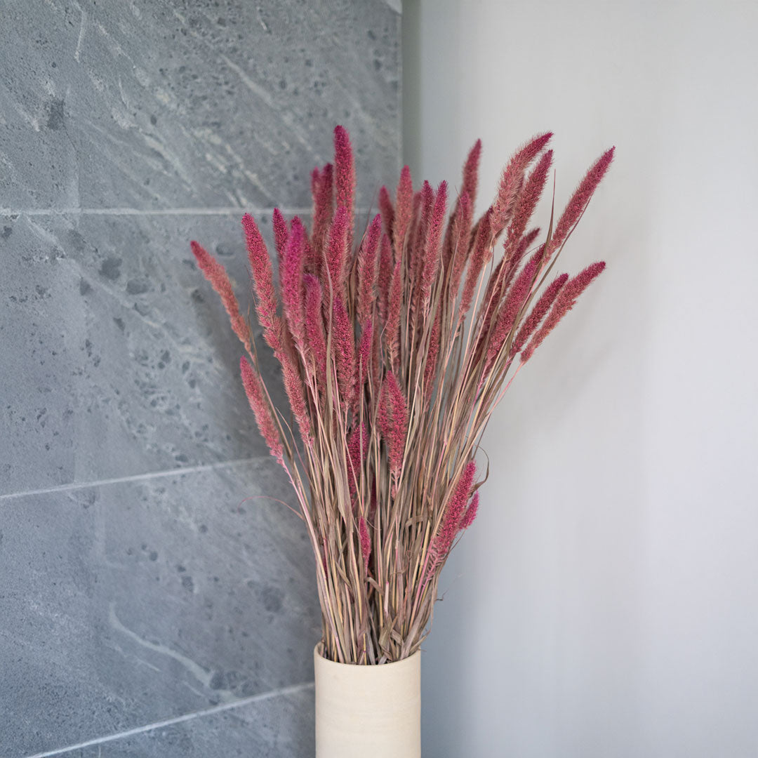Foxtail Millet Bunch