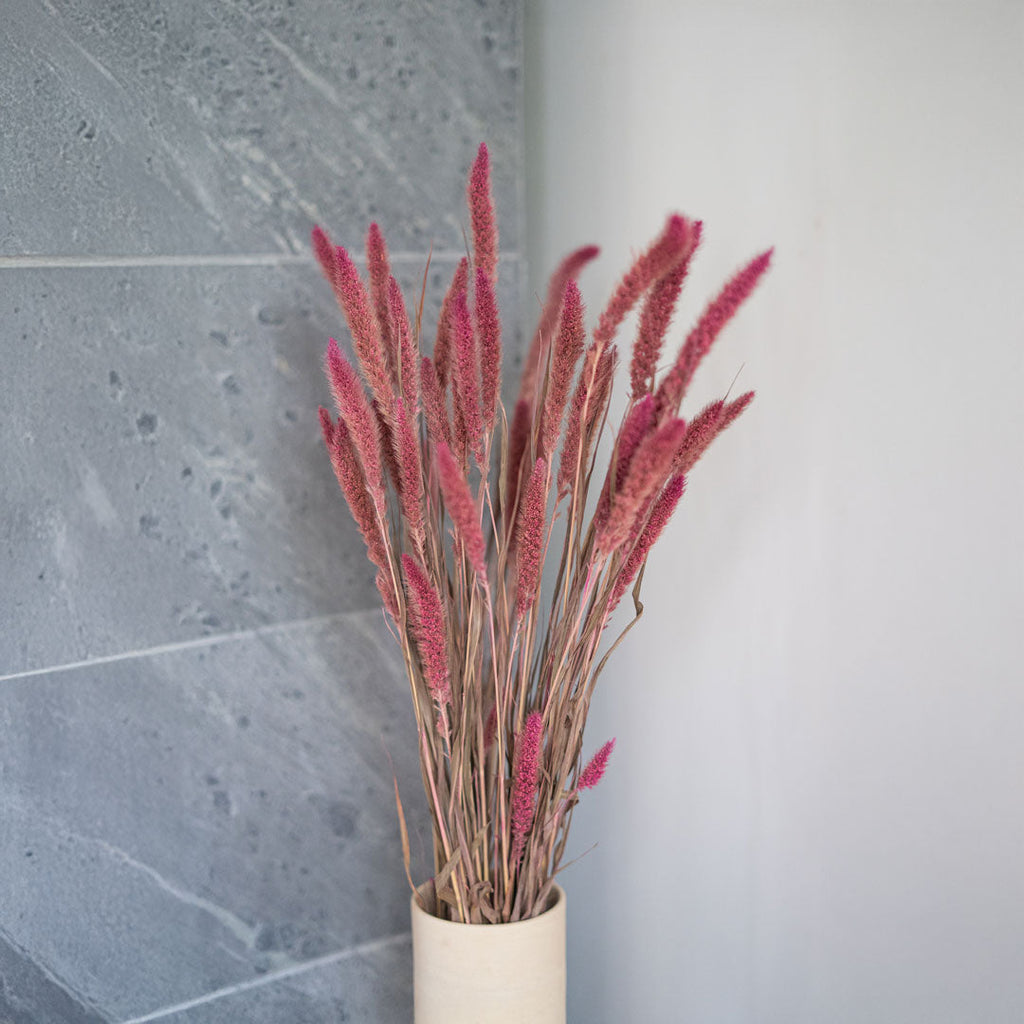 Foxtail Millet Bunch