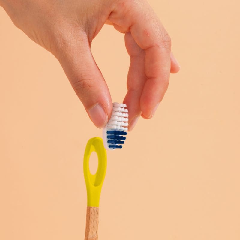 Toothbrush Heads (x3) (medium bristles)