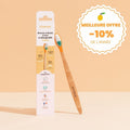 Toothbrush with replaceable head (soft bristles)