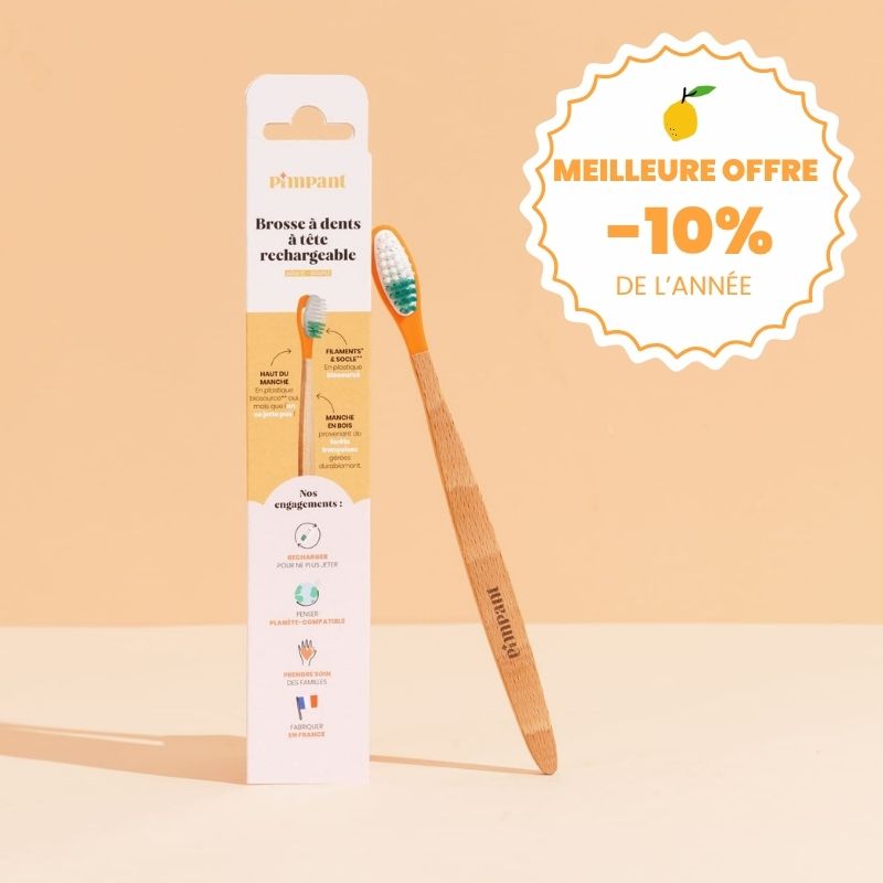Toothbrush with replaceable head (soft bristles)