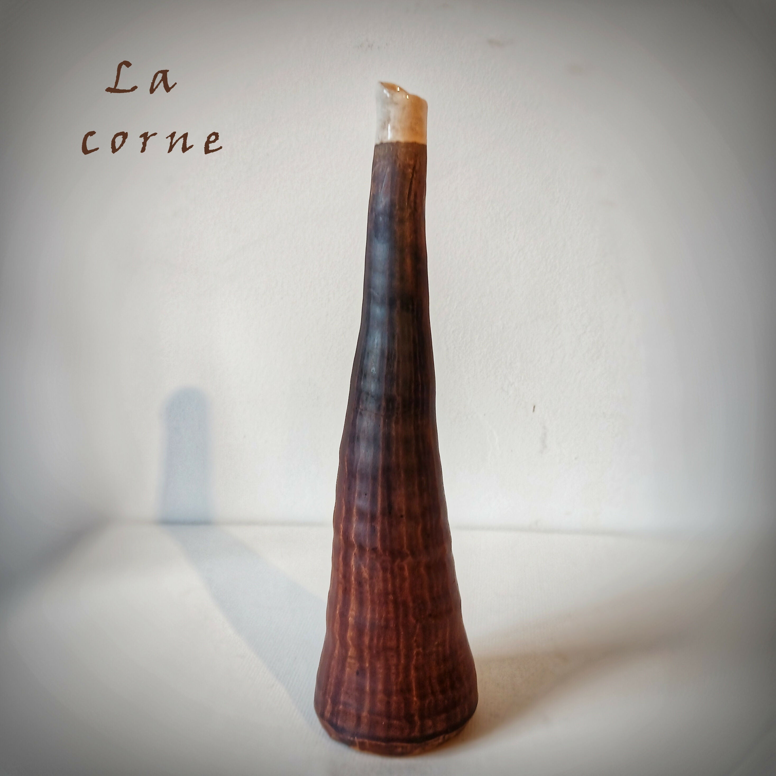 Solifleur La corne