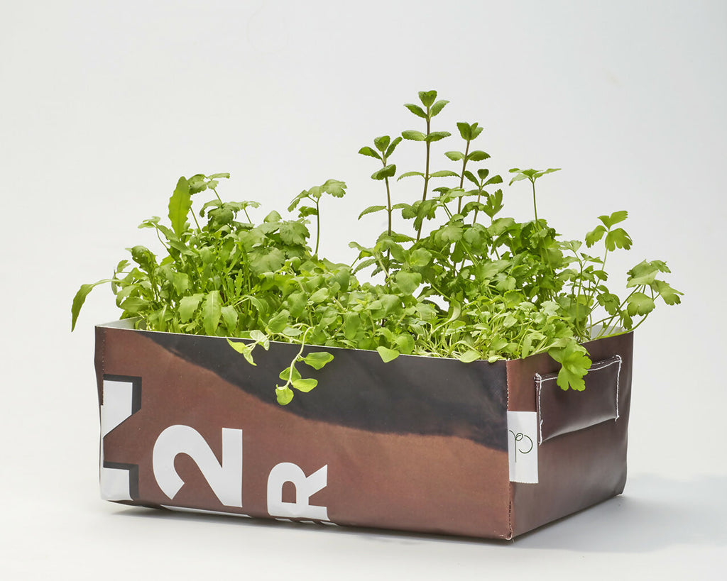 Kit potager mobile avec Aneth, Basilic, Moutarde, Persil, Coriandre, Basilic Thai