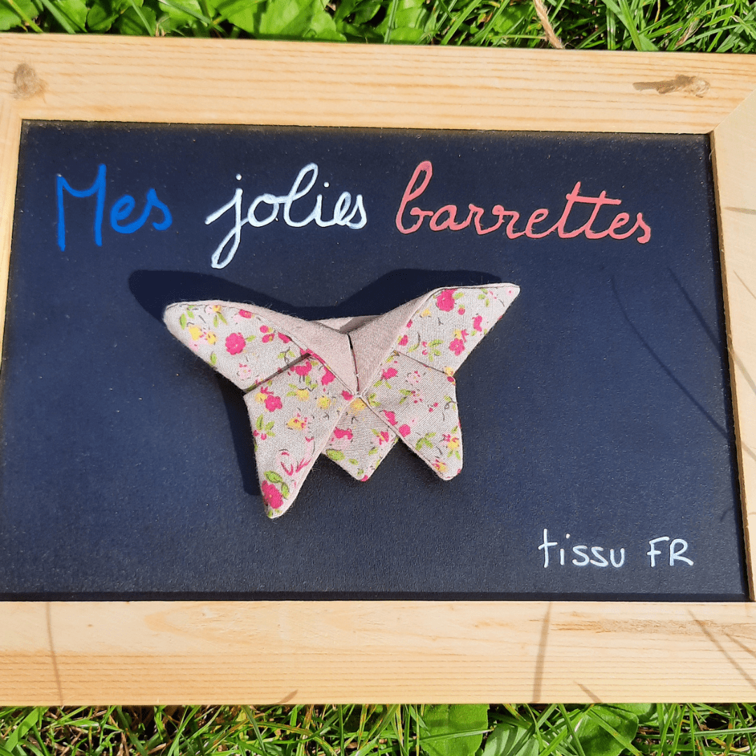 Barrette/broche papillon