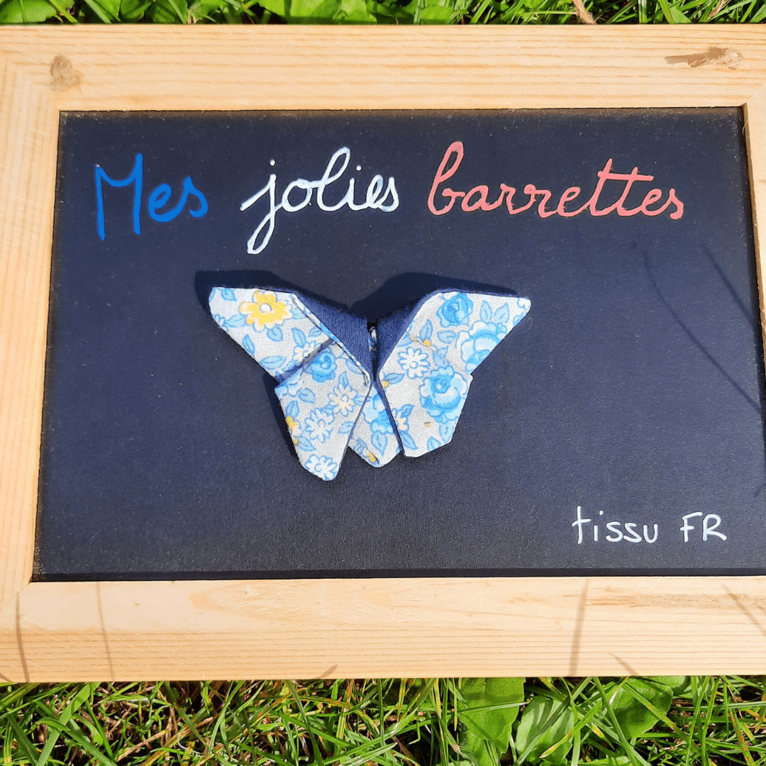 Barrette/broche papillon