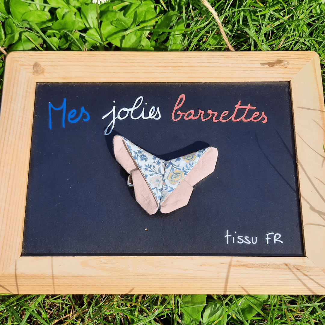 Barrette/broche papillon