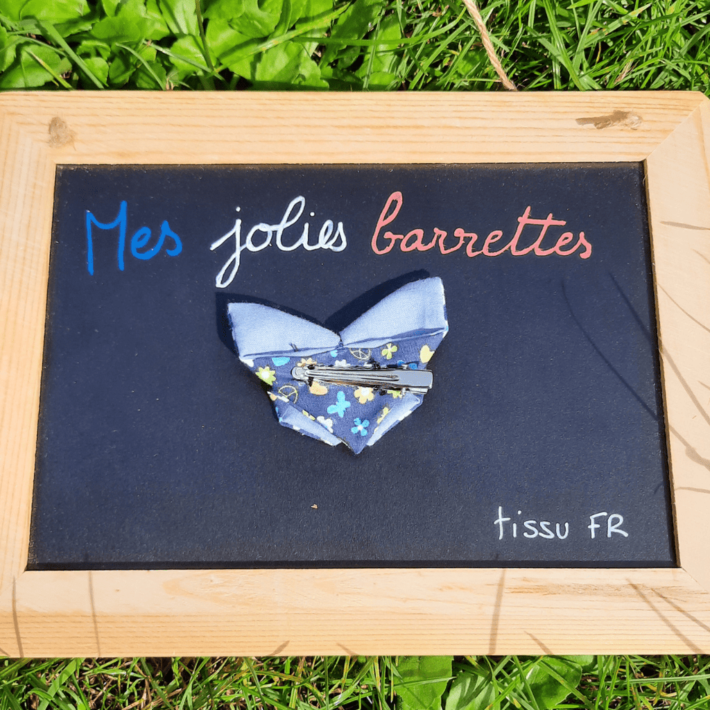 Barrette/broche papillon