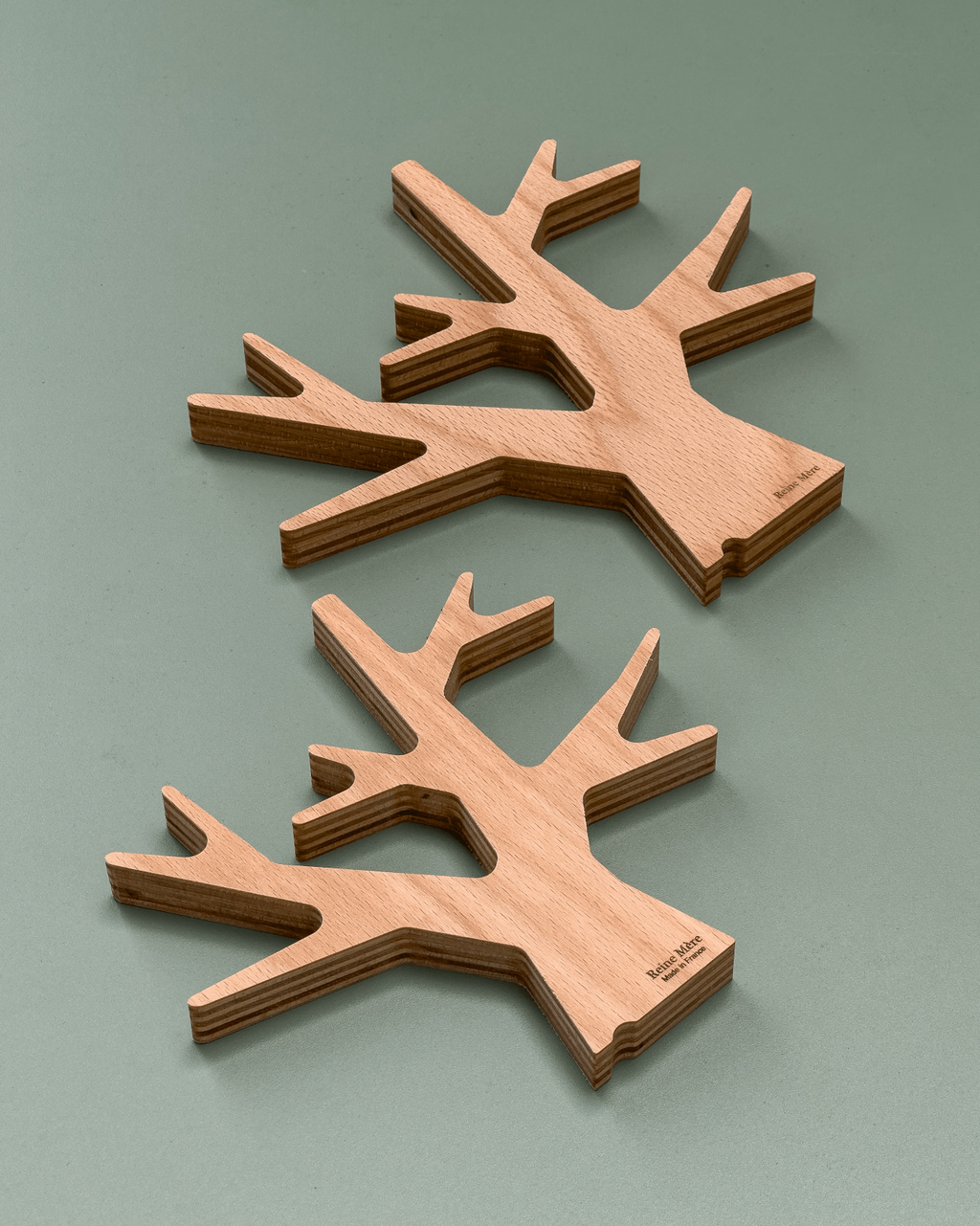 Dessous de plat forme arbre