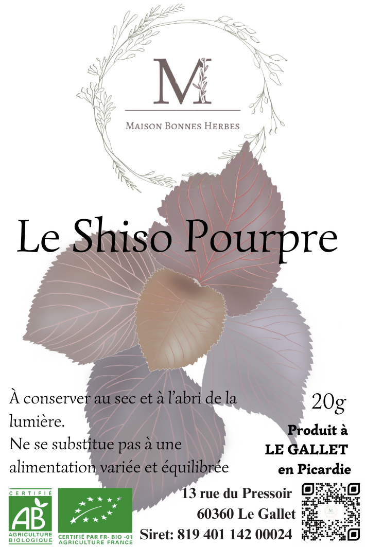 SHISO