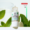 Peppermint Infusion - Organic