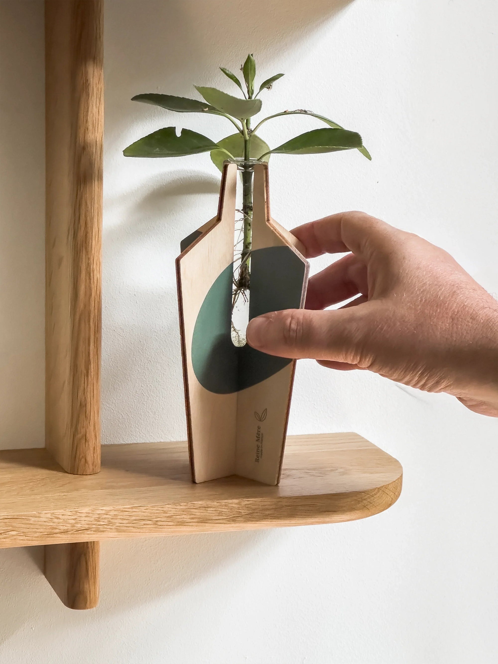 Petit & Grand Sentier - Étagères simples et doubles en chêne massif