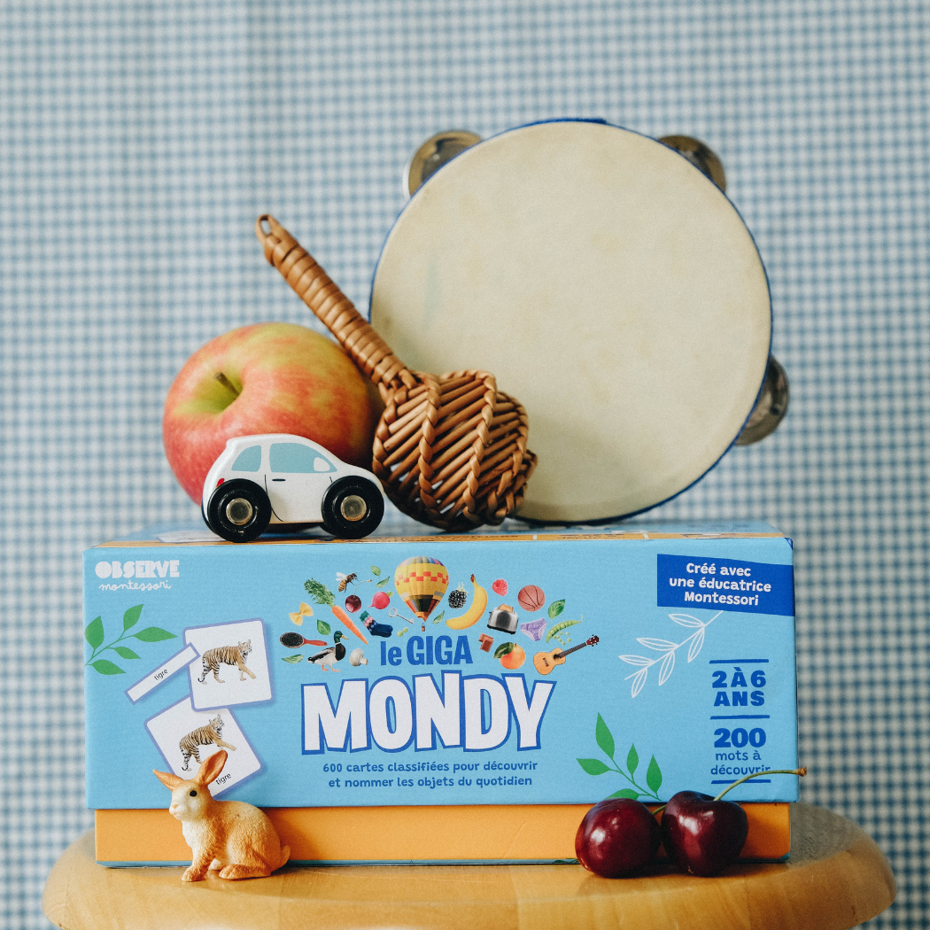 Giga Mondy 600 cartes de nomenclature pour apprendre de nouveaux mots