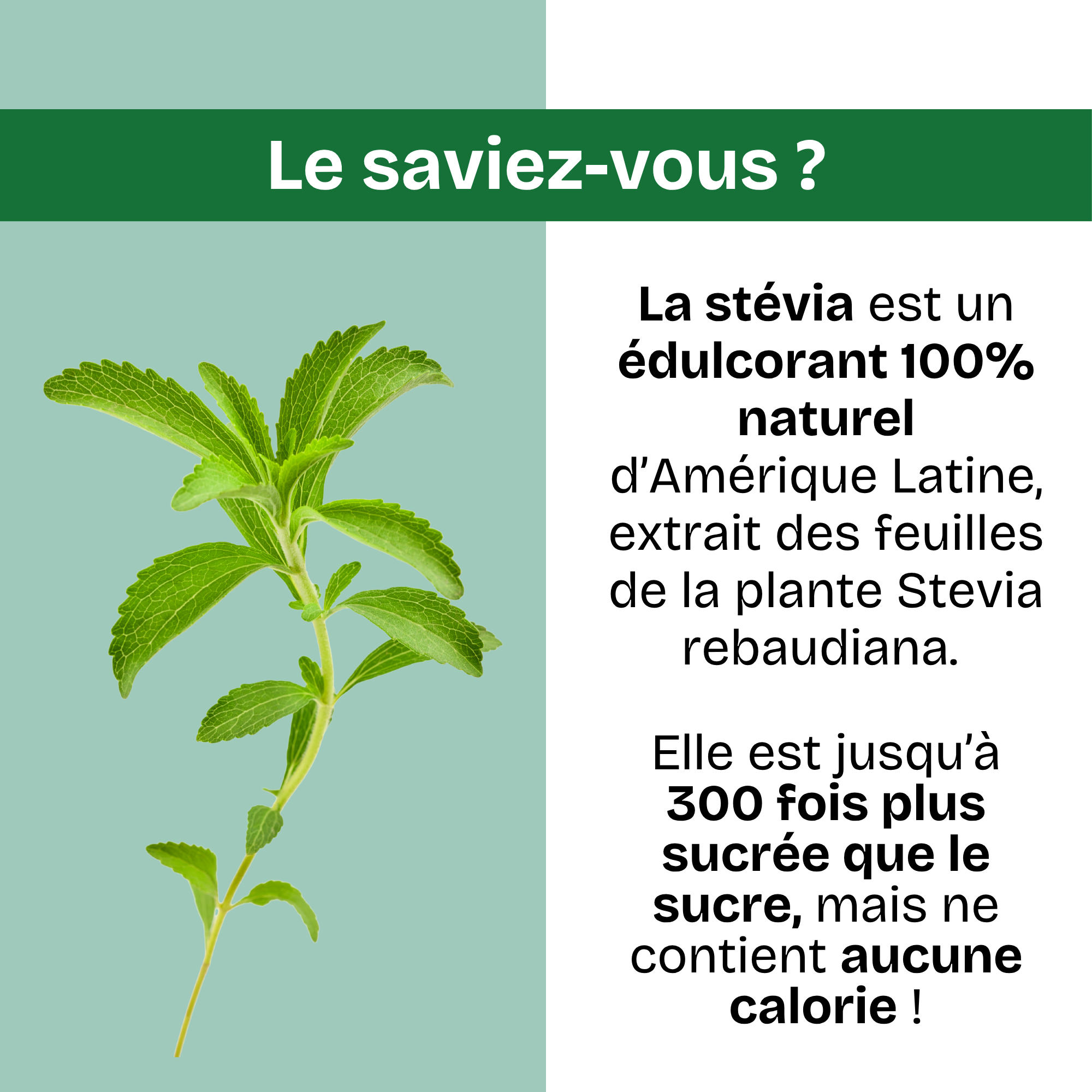 La Grenadine - La Gourmande