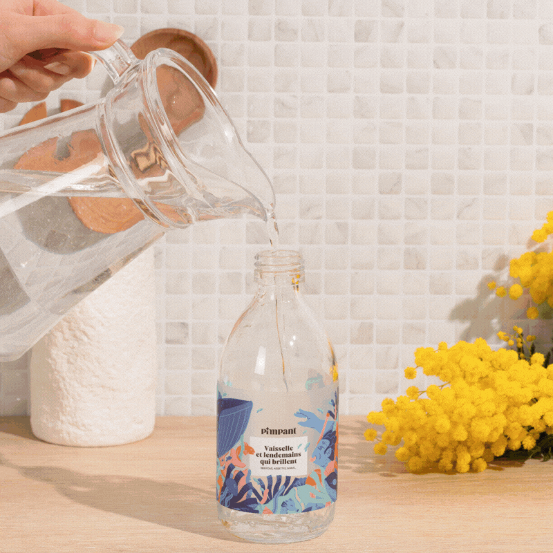 Dish Soap Kit (fragrance of your choice)