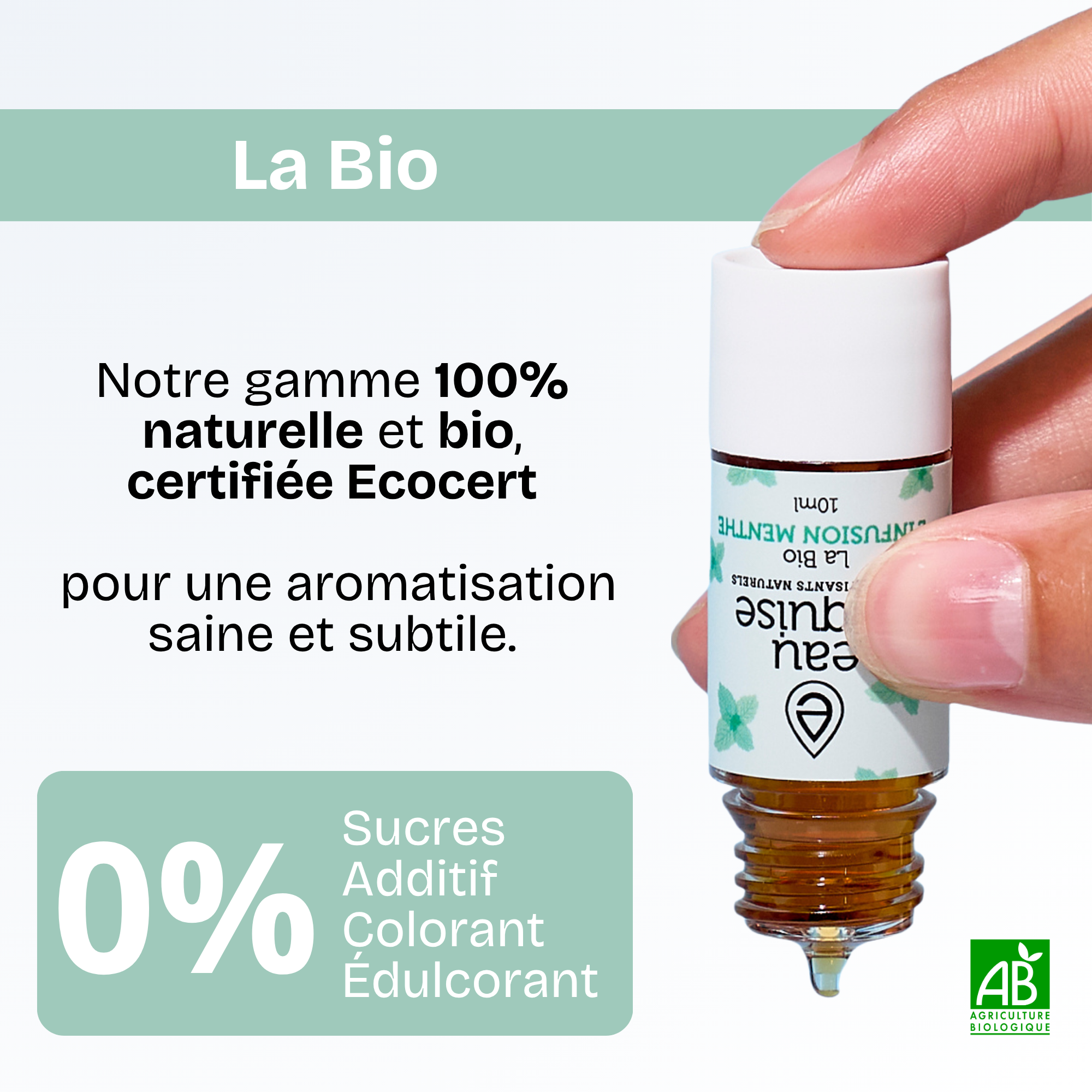 Gariguette - Organic