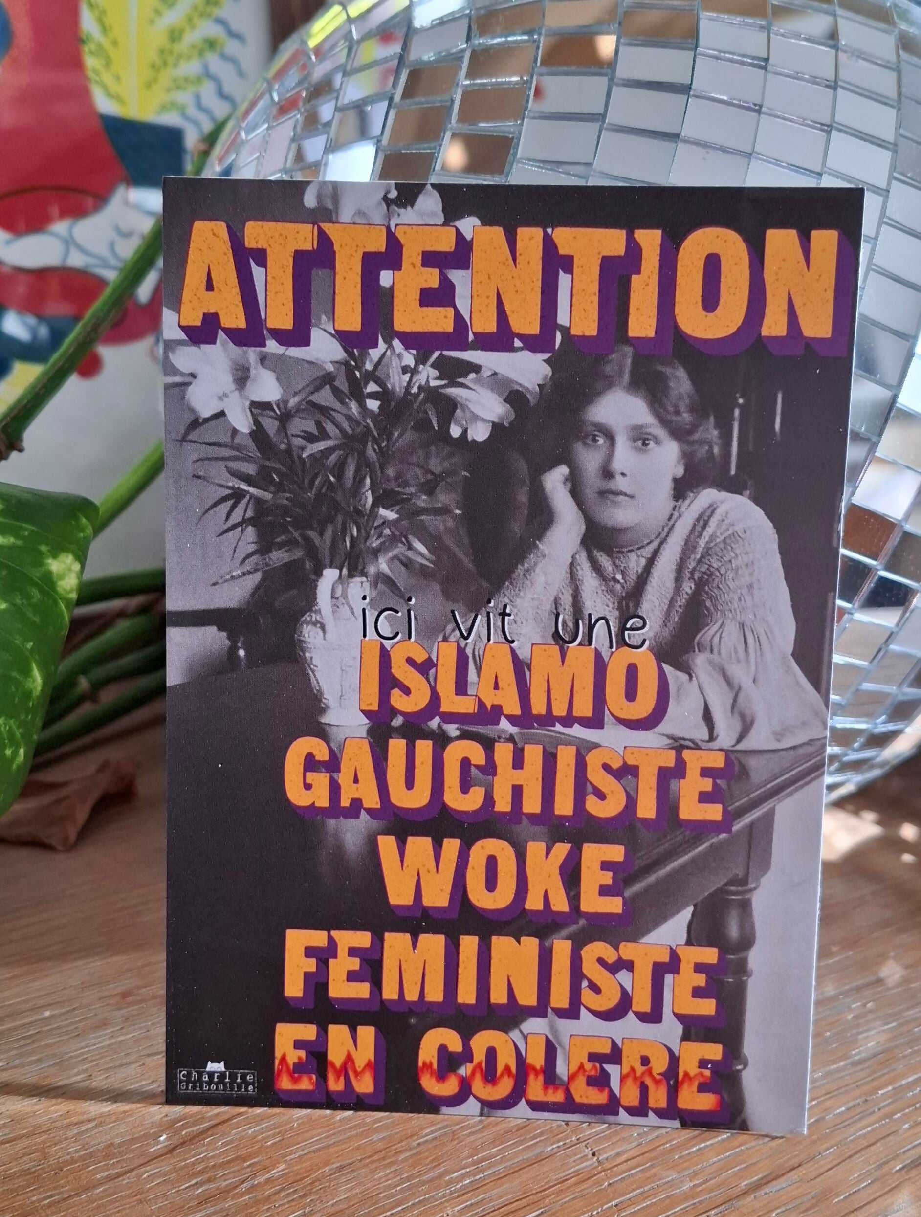 Postcard Warning: An Islamo-leftist lives here