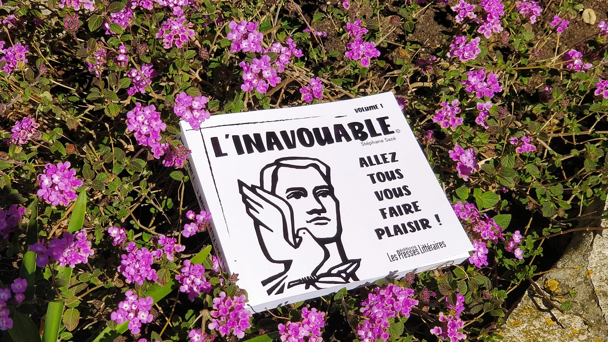 LIVRE "ALLEZ TOUS VOUS FAIRE PLAISIR !" Volume 1