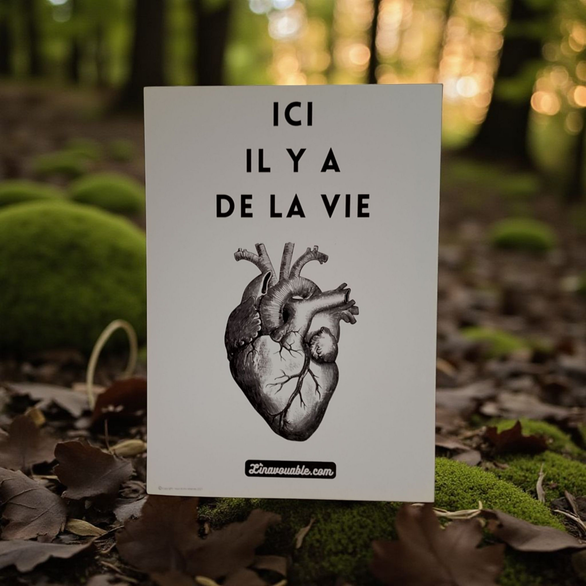 CARTE POSTALE "ICI IL Y A DE LA VIE"
