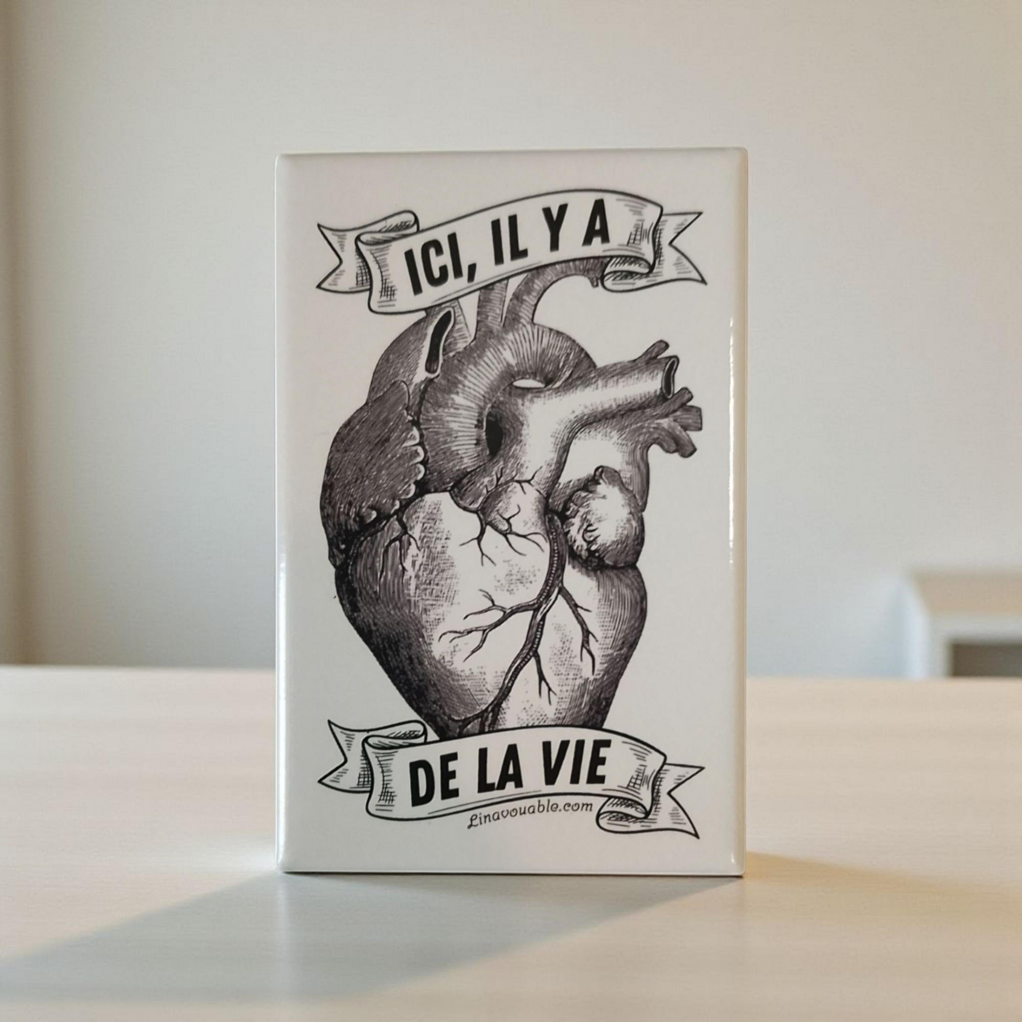 MAGNET "ICI, IL Y A DE LA VIE"