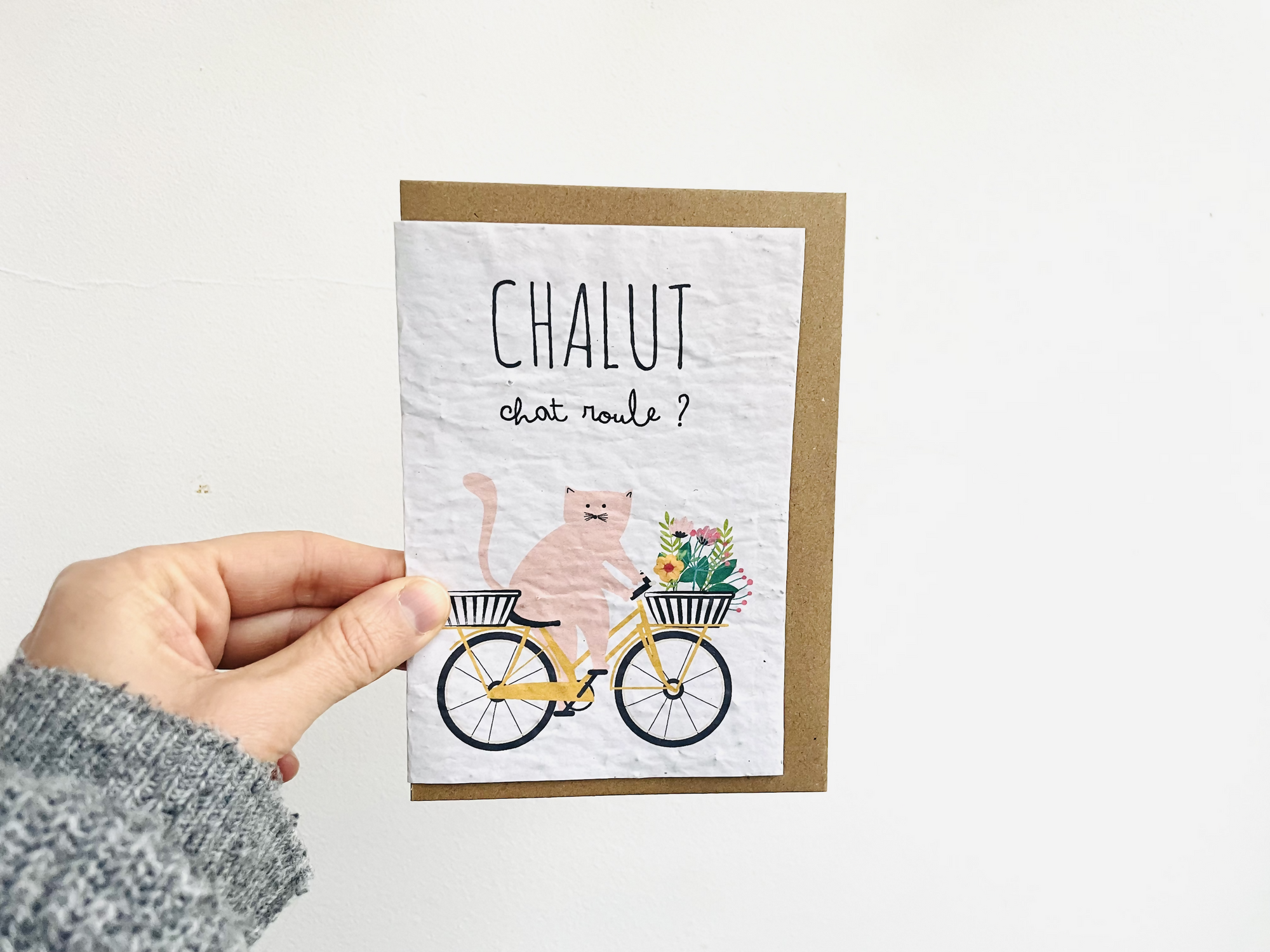 Carte à planter chat roule