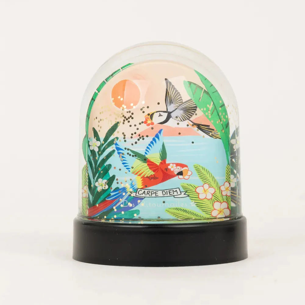 La boule à paillette Coco Cannelle