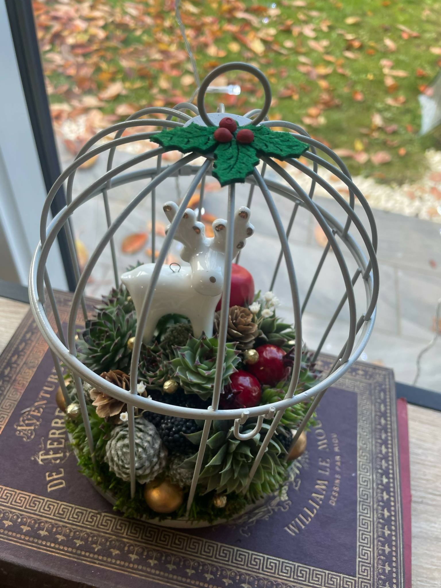 Cage Oiseau Christmas